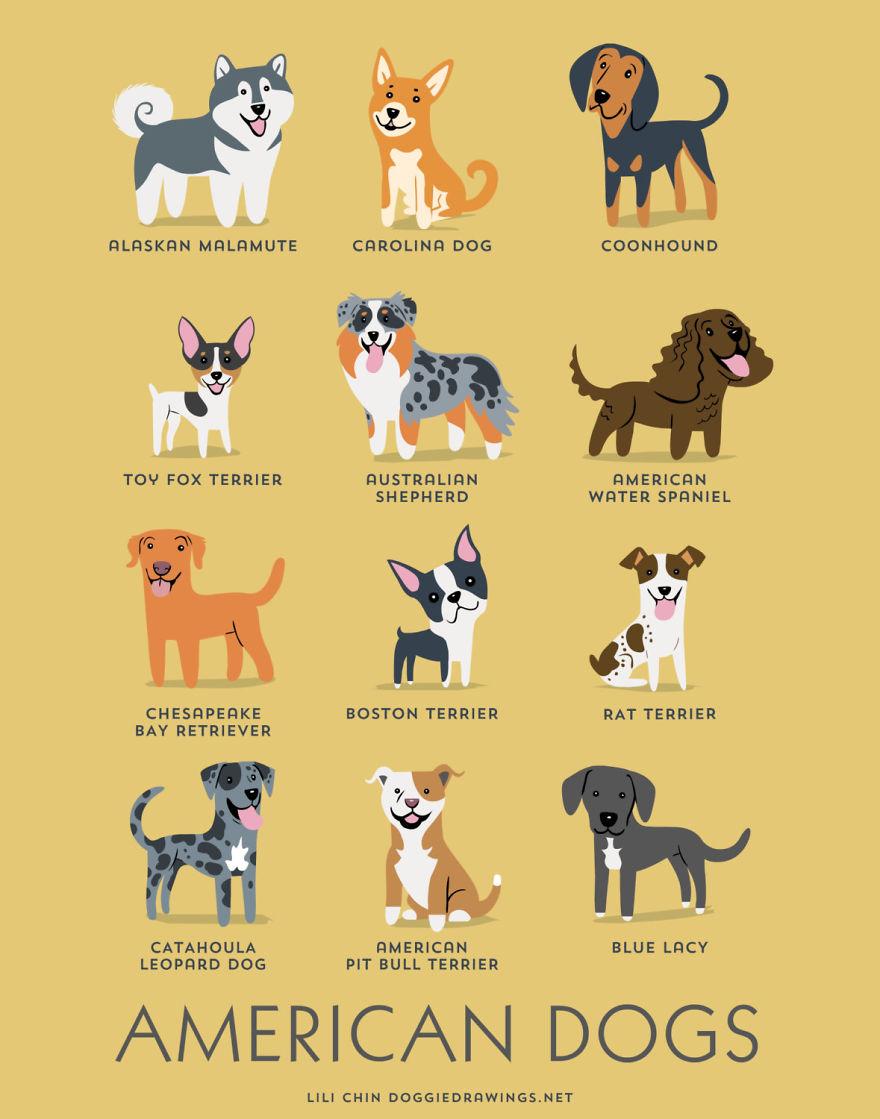 American dogs