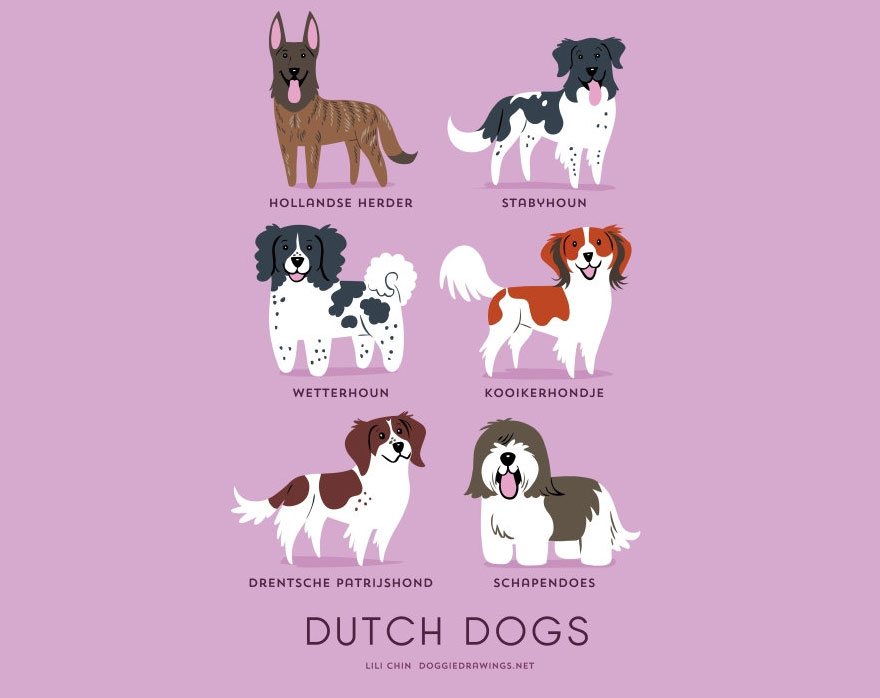 Dutch dogs
