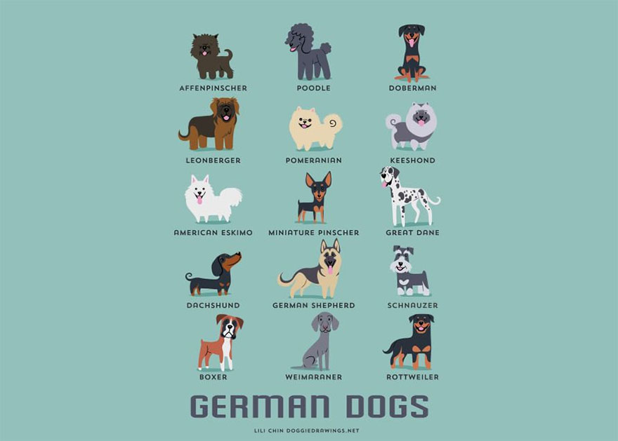 German dogs