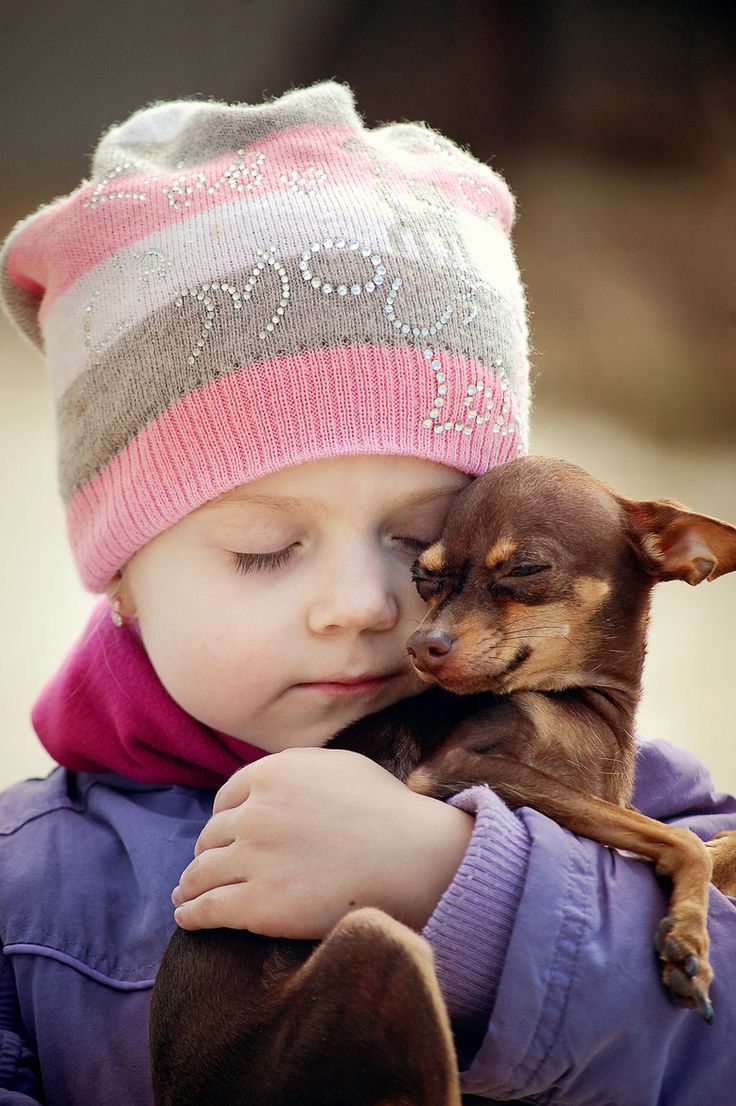 cute chihuahua kid awesome