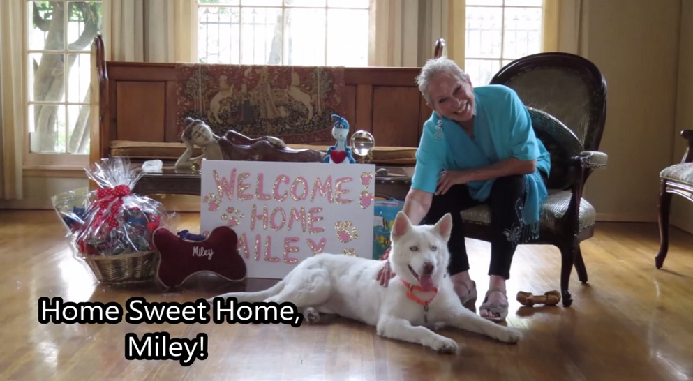 She Lived In Trash Pile. But Not Anymore. 13 Dog adoption home sweet home