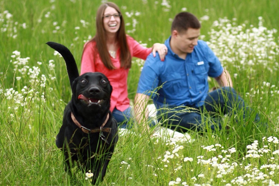 funny dog and loving couple