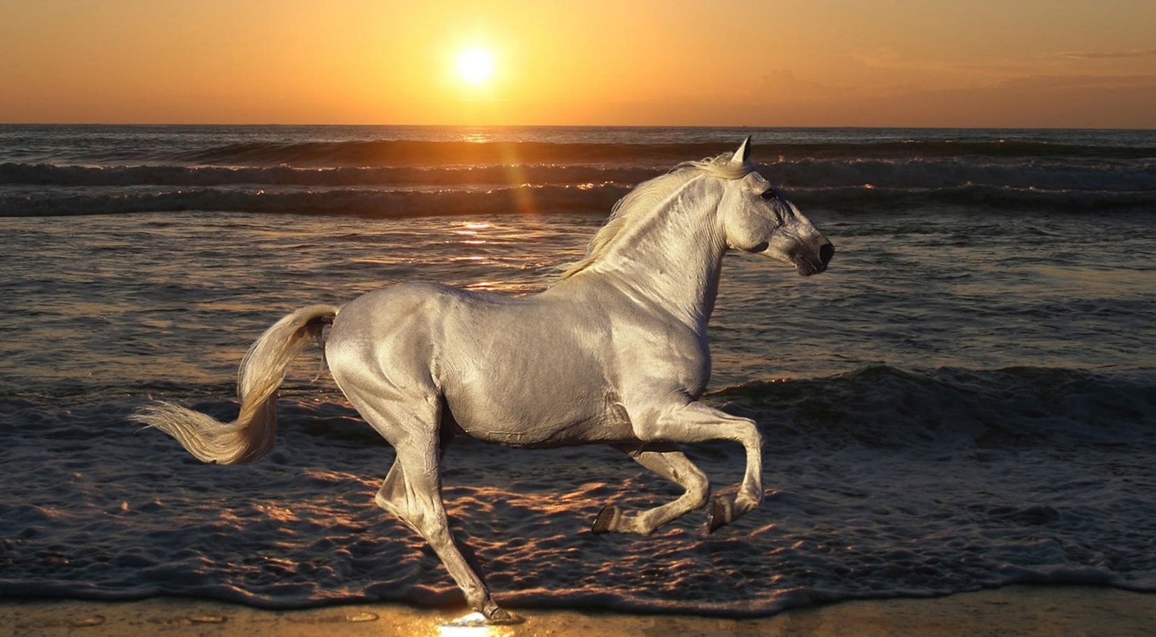 How Much Do You Know About Horses? 2