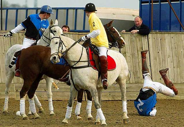 Prince William fell from his horse