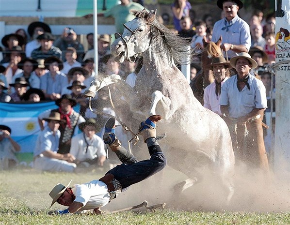 fall horse pics rider
