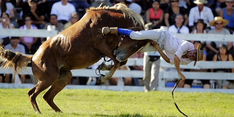 These 15 Horses Won’t Be Broken Without A Fight 29 These 15 Horses Won’t Be Broken Without A Fight 5