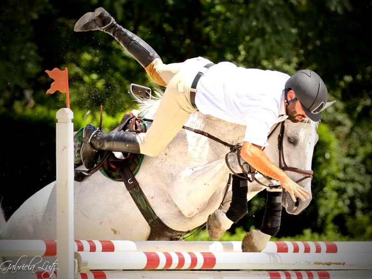 horse is just jumping the fence