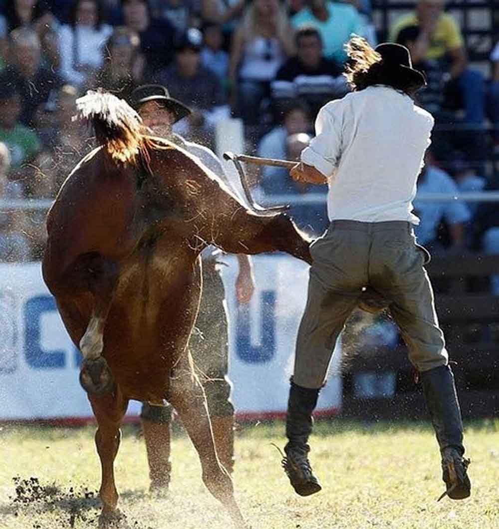 horse kicking man