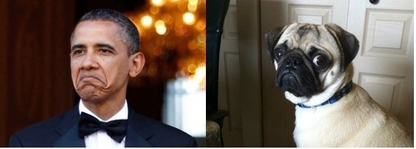 obama and pug