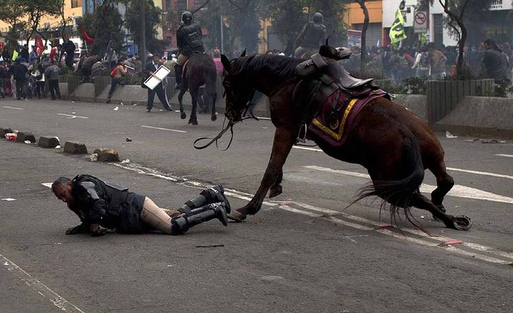 policeman fall down horse
