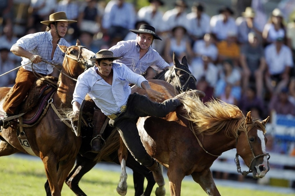 These 15 Horses Won’t Be Broken Without A Fight 11 riders horses falling down