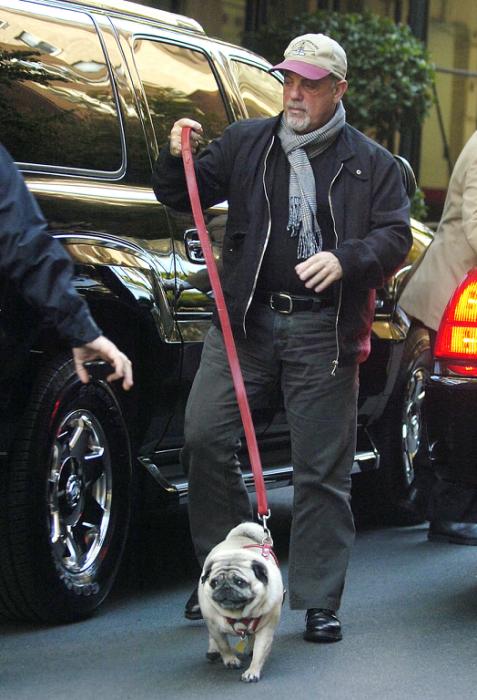 Billy Joel and pug