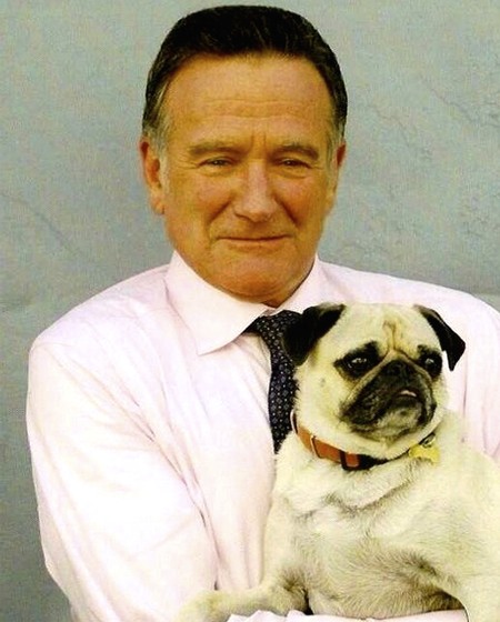 Robin-Williams-Pug