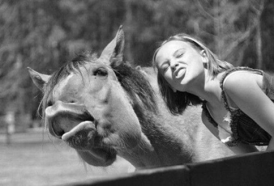 Say Cheese girl horse