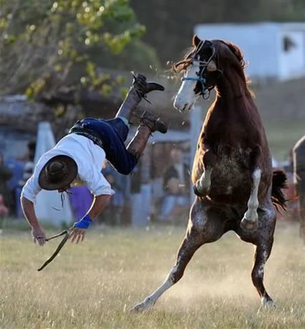 falling rider horse pics
