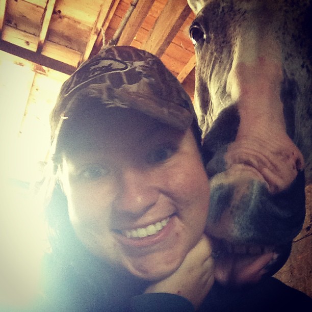 funny horse eat girl