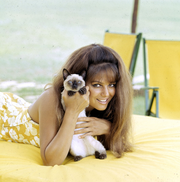 Claudia Cardinale with cat