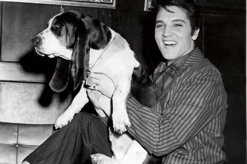 Elvis Presley with basset hound