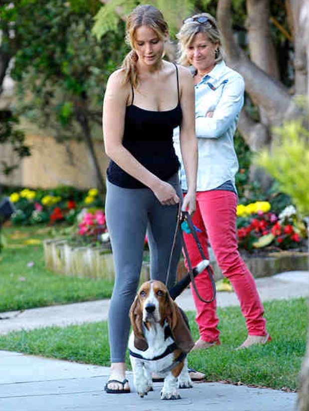 Jennifer Lawrence dog basset hound