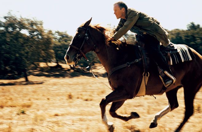 Kiefer Sutherland horse