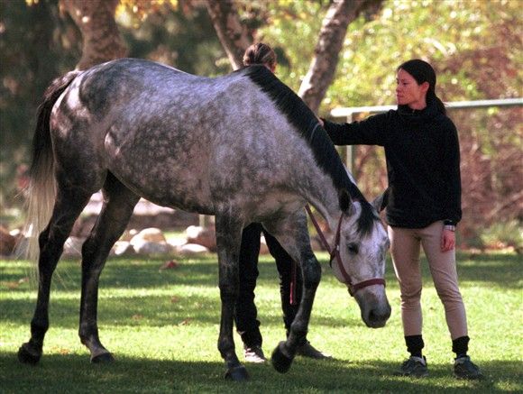 Lucy Liu horse