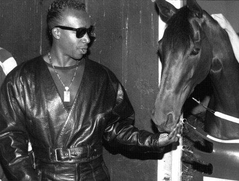 MC Hammer horse
