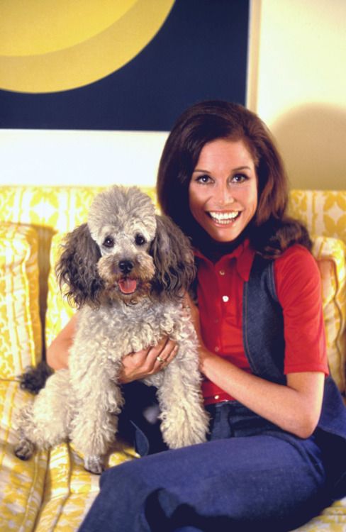 Mary Tyler Moore poodle