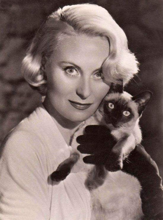 Michèle Morgan cat pics