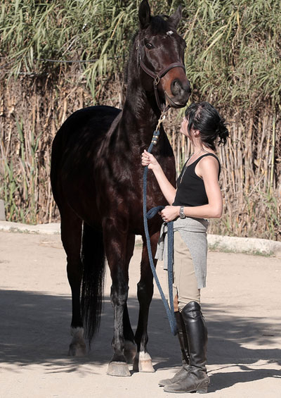 Selma Blair horse