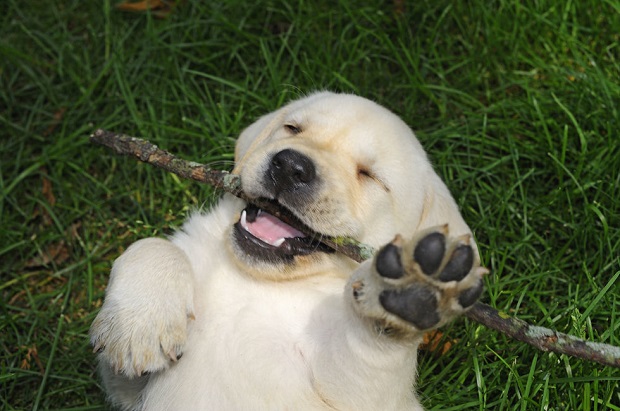 15 Photos For Anyone Who’s Just Having A Bad Day 2