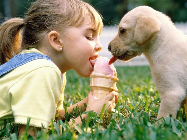 girl ice cream labrador puppy