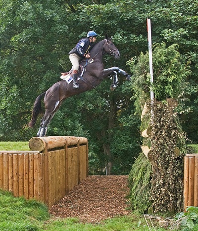jump horse photo