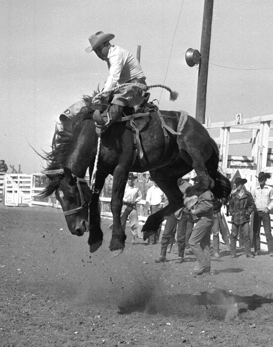 15 Situations You Realize Things Aren’t Going To End Well 5 rodeos, jumping horse