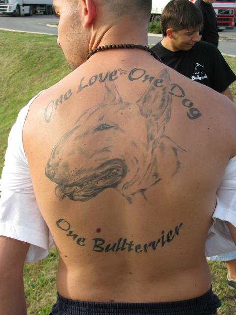 English Bull Terrier Tattoo back design