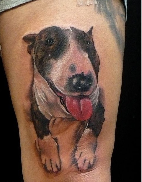 English-Bull-Terrier-Tattoo-designs
