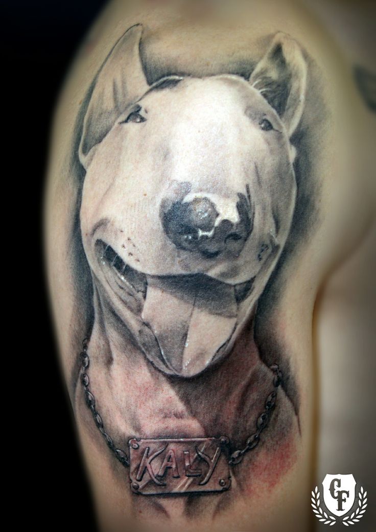 English-Bull-Terrier-Tattoo-shoulder