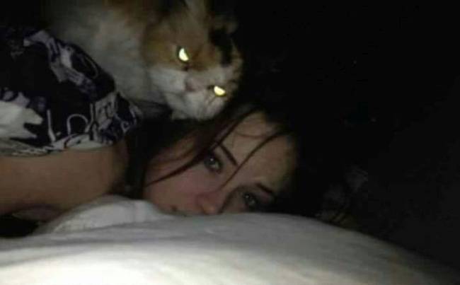 cat angry eyes face