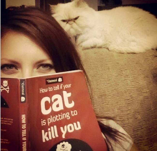 cat suspicions