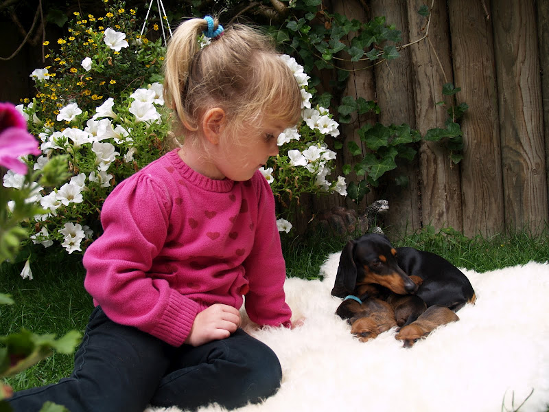 dachshund, girl ,kid