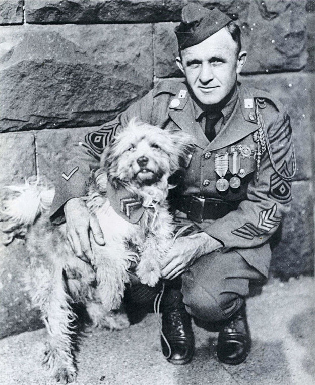 15 Stories About Animals – Soldiers Of Their Countries 7 hero dog soldier