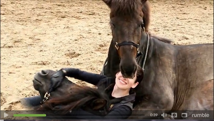 horses photo hug woman