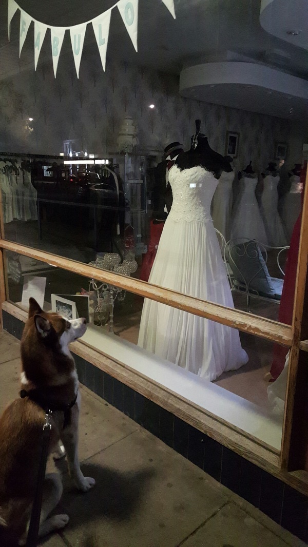 husky wedding dress