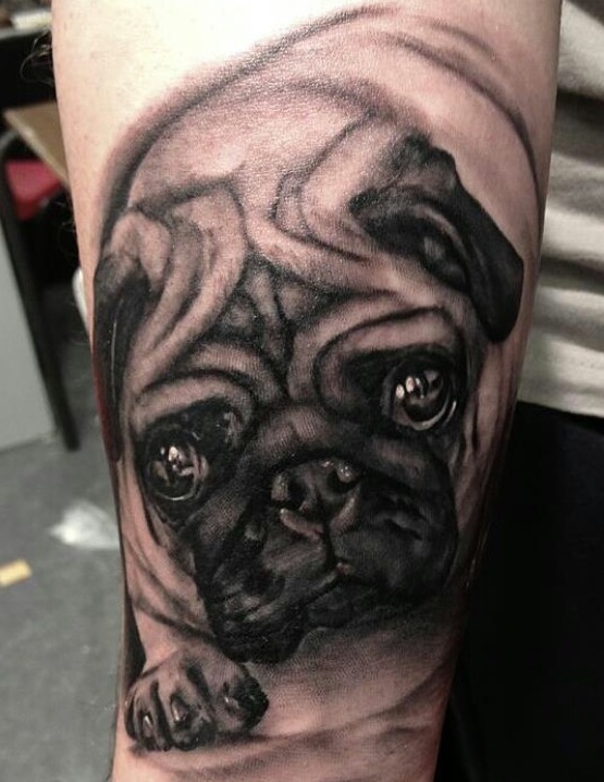 pug tattoo design black