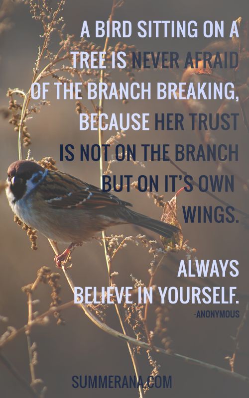 quote trust yourself