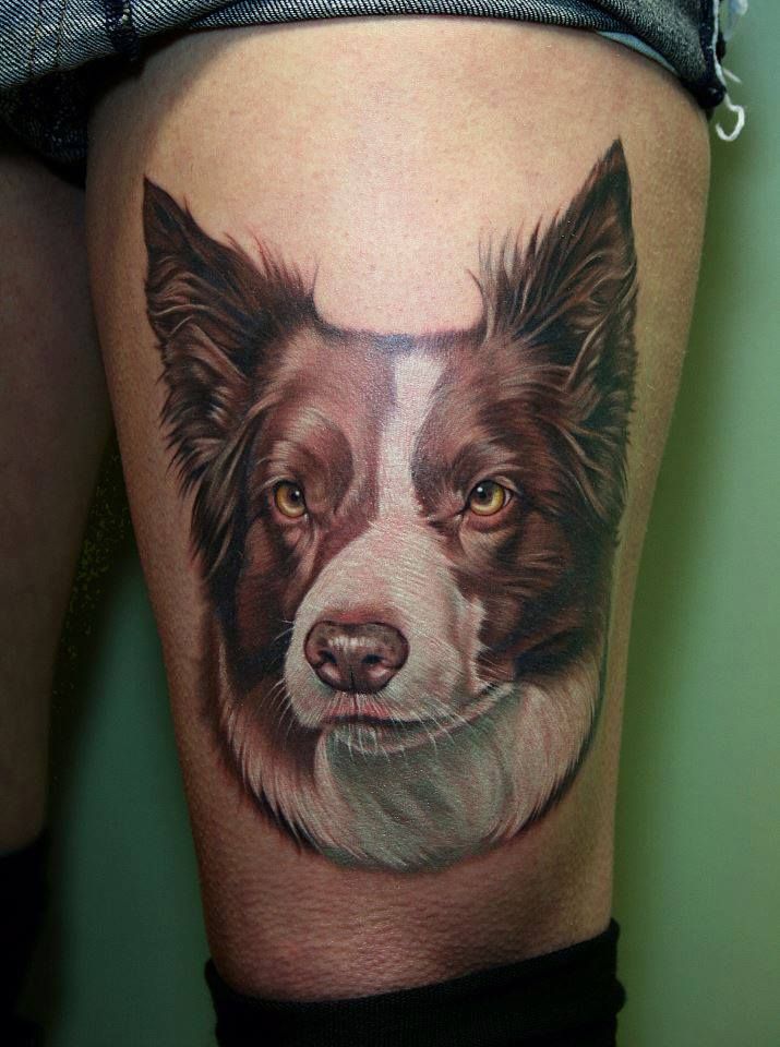 The 12 Coolest Border Collie Tattoo Designs In The World