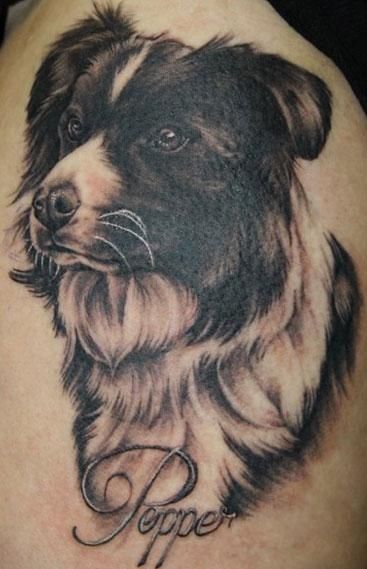 Border Collie tattoo picture