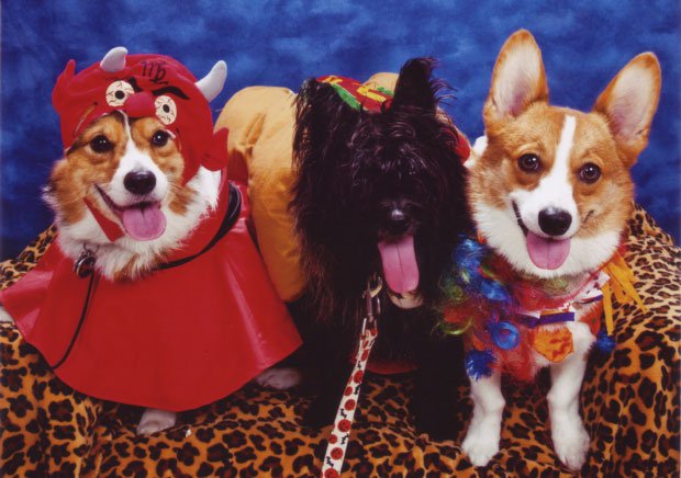 Devil, Clown, hot dog friend