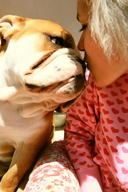 16 Reasons English Bulldogs Are The Worst Indoor Dog Breeds Of All Time 7 English Bulldog kiss