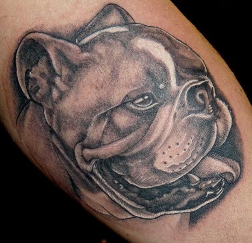 English Bulldog tattoo design