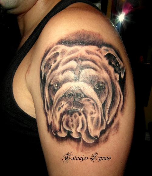 English Bulldog tattoo shoulder